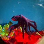 Octopus Resin Egg Lamp Close Up Handcrafted Detail
