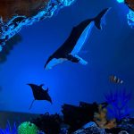 Whale Ocean Resin Lamp Crystal Shard Manta Ray Close-up Detail