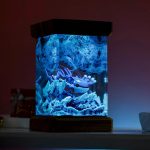 Kyogre Pokemon Resin Lamp Dark Background Decor