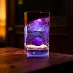 One Piece Devil Fruit Lamp Full View Night Light