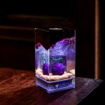One Piece Devil Fruit Lamp Resin Night Epoxy Light