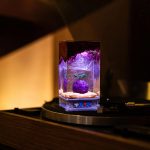 One Piece Devil Fruit Lamp Warm Background Decor